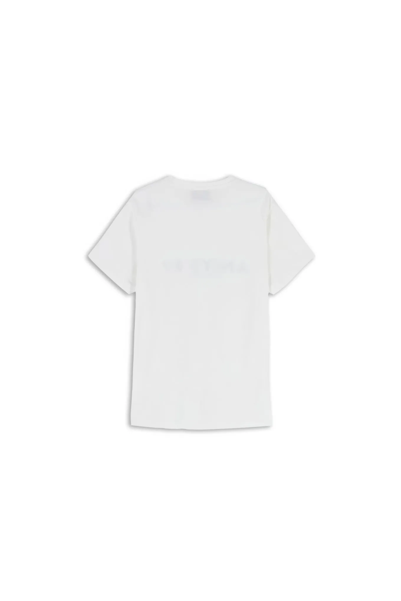 T-SHIRT LOGO ANIYE